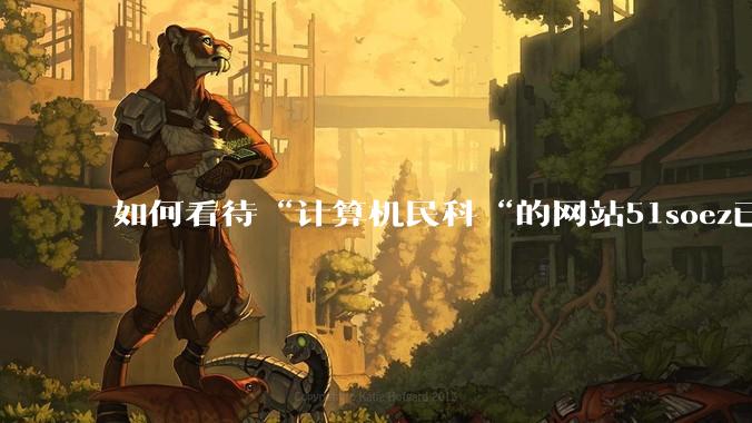 如何看待“计算机民科“的网站51soez已关站维护一周？
