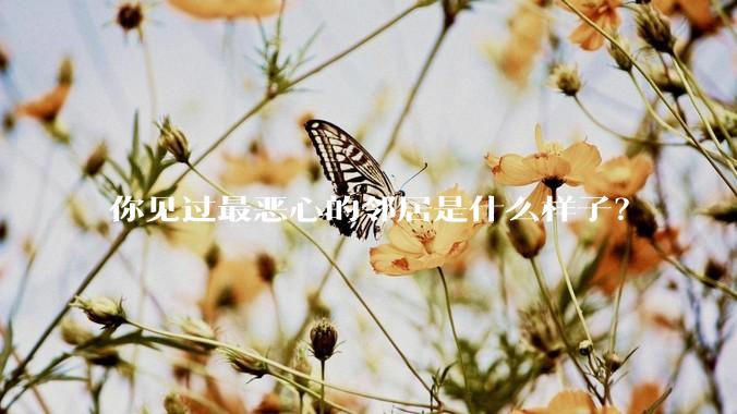你见过最恶心的邻居是什么样子？