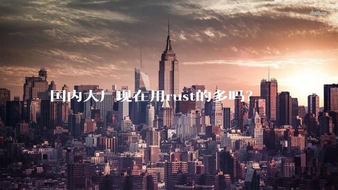 国内大厂现在用rust的多吗？