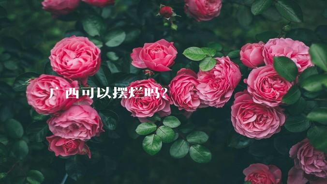 广西可以摆烂吗？